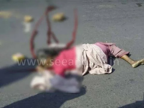 Elderly woman died in road mishap in Pangala