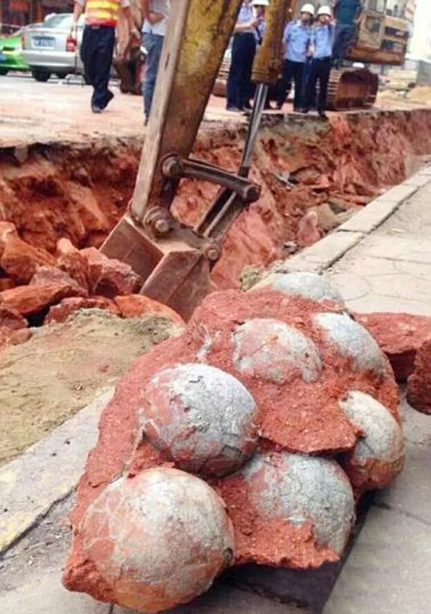 Fourty three fossilised dinosaur eggs found in China