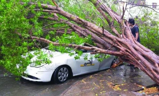 Rains wreak havoc on Jeddah roads