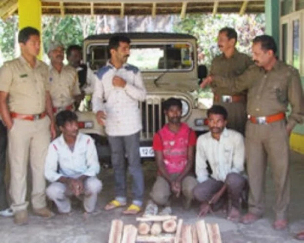 Illegal sandalwood transportation: Four arrested