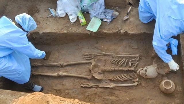 Archaeologists unearth 5,000-yr-old skeletons in Hisar