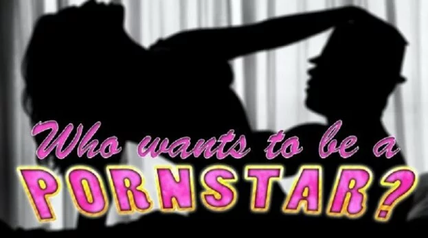 'Who wants to be a porn star' contest : US radio station