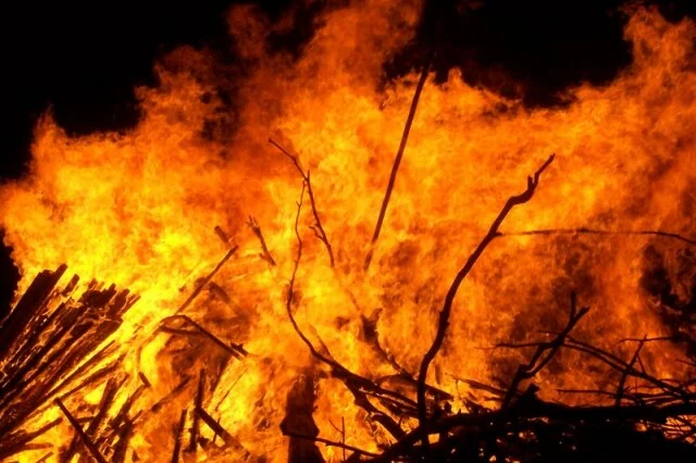 Man charred to death in forest fire