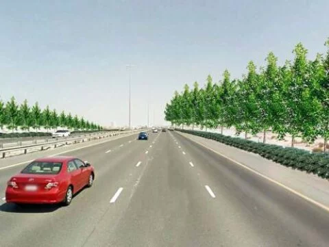 First look at how trees will beautify the highway and block sand encroachment