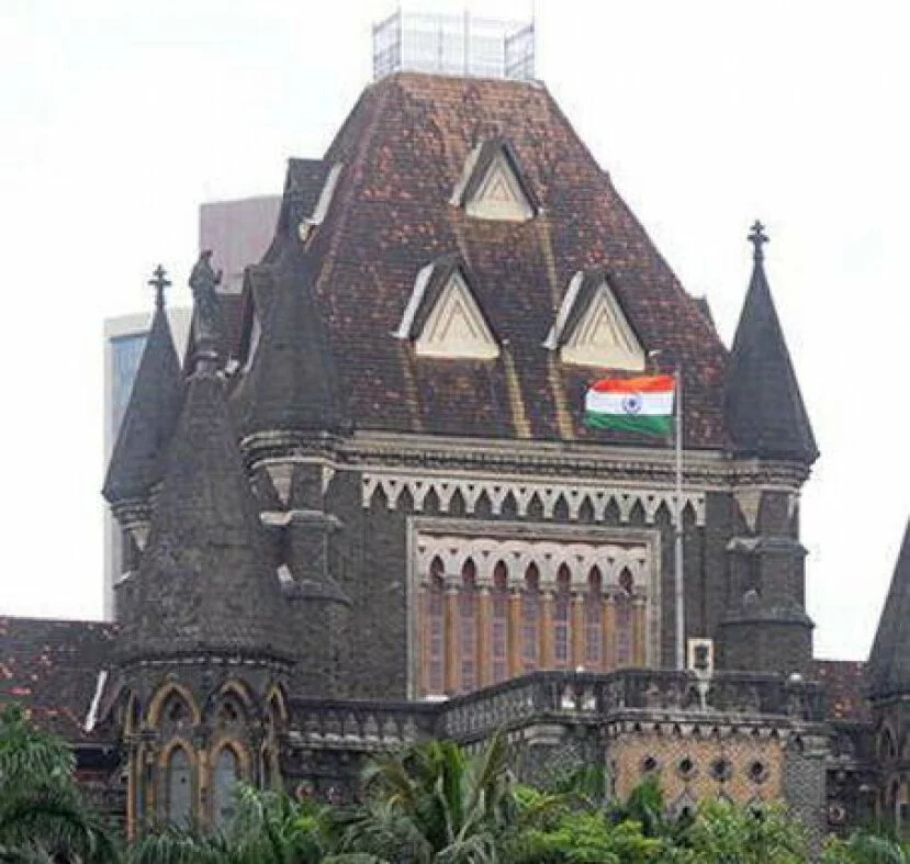 Govt cannot charge 'fair criticism' with sedition: Bombay High Court