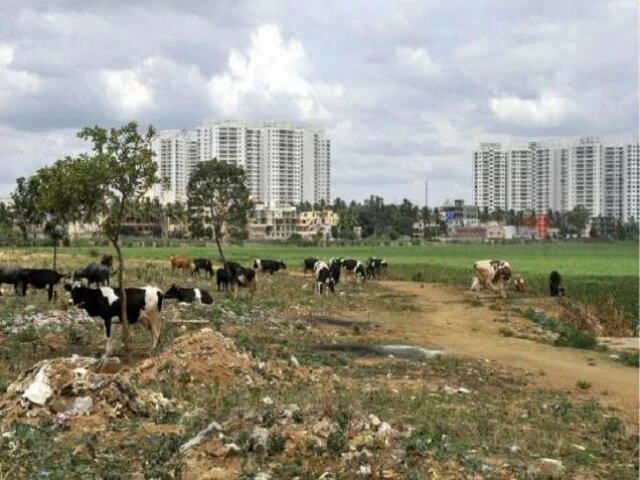 Bengaluru’s largest encroachment eviction drive begins at Sarakki Lake