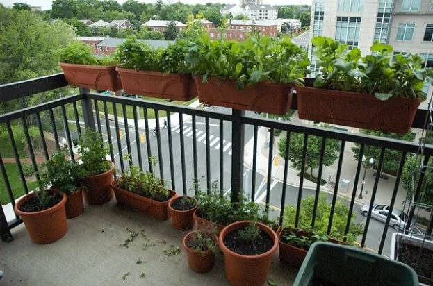 Interesting planters for your garden