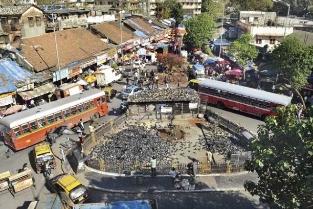 With renovated fountains and focus lights Mumbai's iconic Kabutar Khana to get a facelift