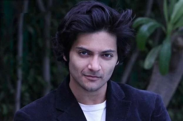 When Ali Fazal took a break for Vidya Balan