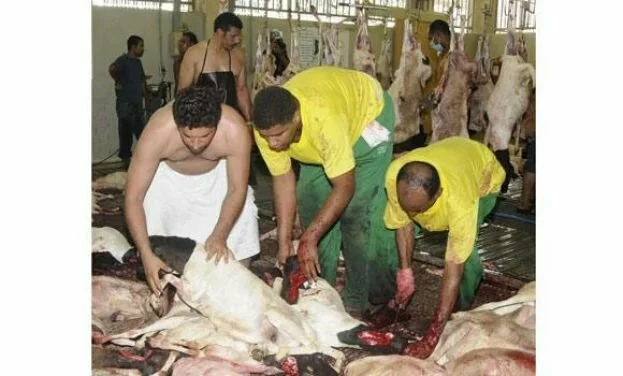 2,000 poor families get sacrificial meat