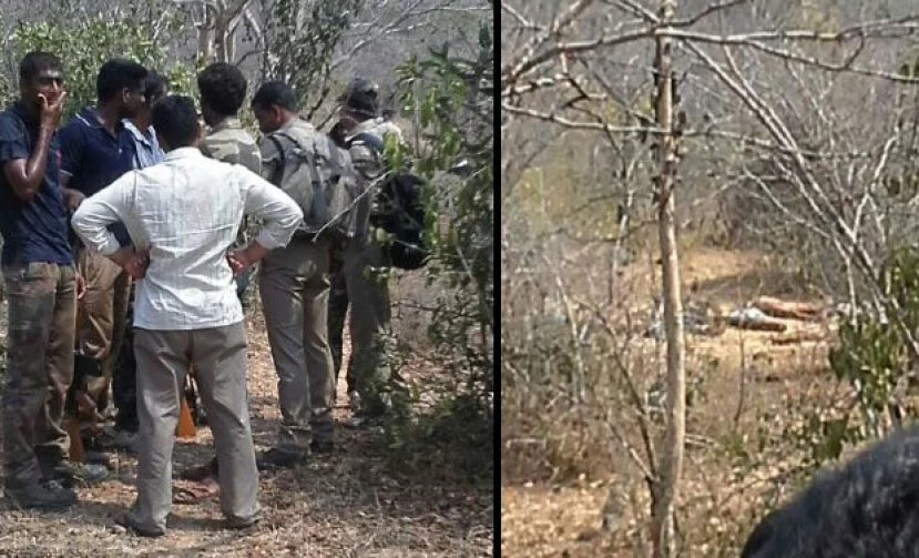20 sandalwood smugglers shot dead in Police encounter in Chittoor