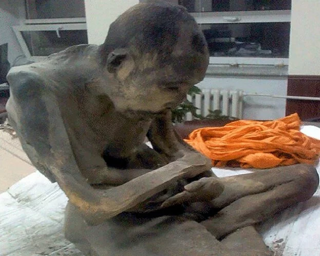 Shocking: 200-year-old meditating mummy 'could be alive'
