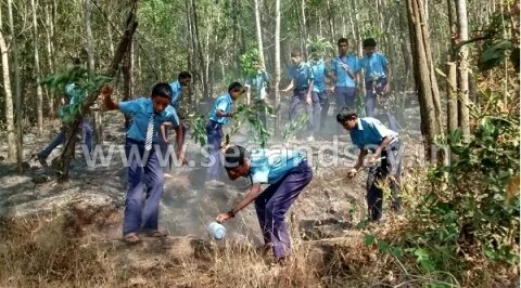 Forest region near school catches fire in Kallamundkur