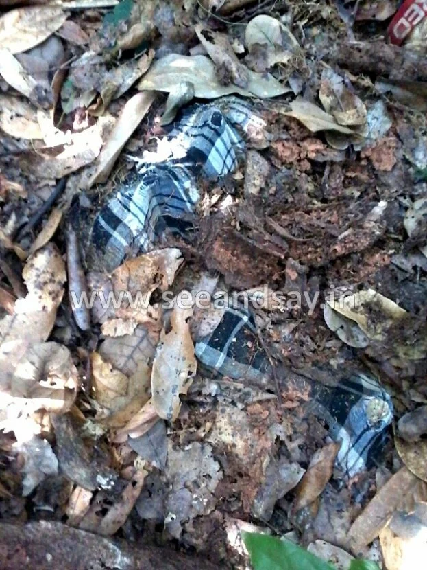 Decomposed bodies found in the forest region of Kerekad