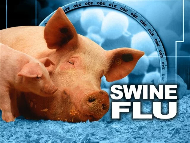 Swine flu: 31 more dead, nearly 13,000 affected