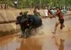 Green signal for Kambala by District administration