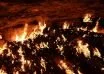 China Coal mine fire kills 24 workers, 52 injured