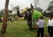 Elephant fair at Dubare: Many elephants show their talents