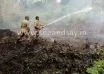 Rubber plantation catches fire in Mantrady
