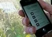 Students develop app to bridge organic farmer-consumer gap