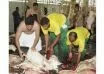 2,000 poor families get sacrificial meat