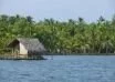 Kerala’s Ashtamudi lake gets recognition for sustainable clam fishing