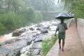 Kerala welcomes rain on environment day; Mumbai awaits
