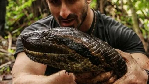 Conservationist 'Eaten Alive' by Snake on TV